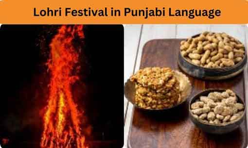 Lohri Festival in Punjabi Language