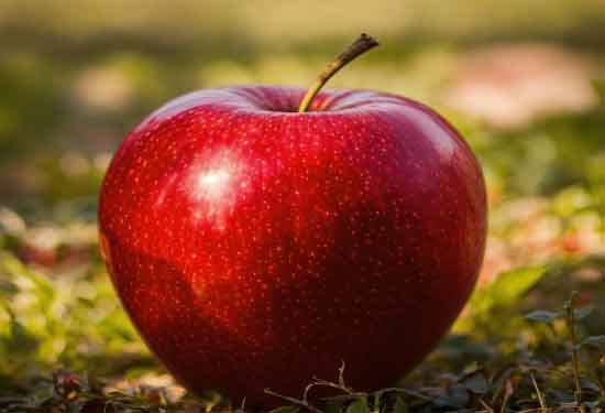 benefits of apple in punjabi language